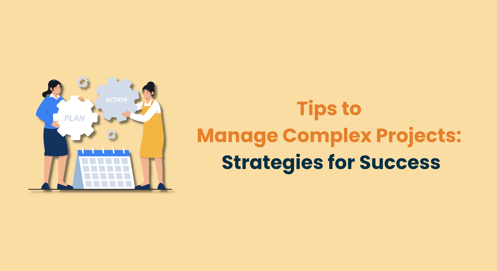 A Complex Project Management A Beginner’s Guide: How to Manage Complex Projects | NevoLearn